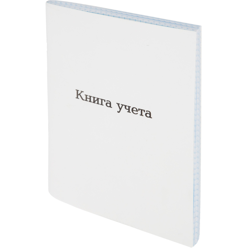 Книга учета Attache А5 96л клетка офсет картон мел. скоба - фото 2