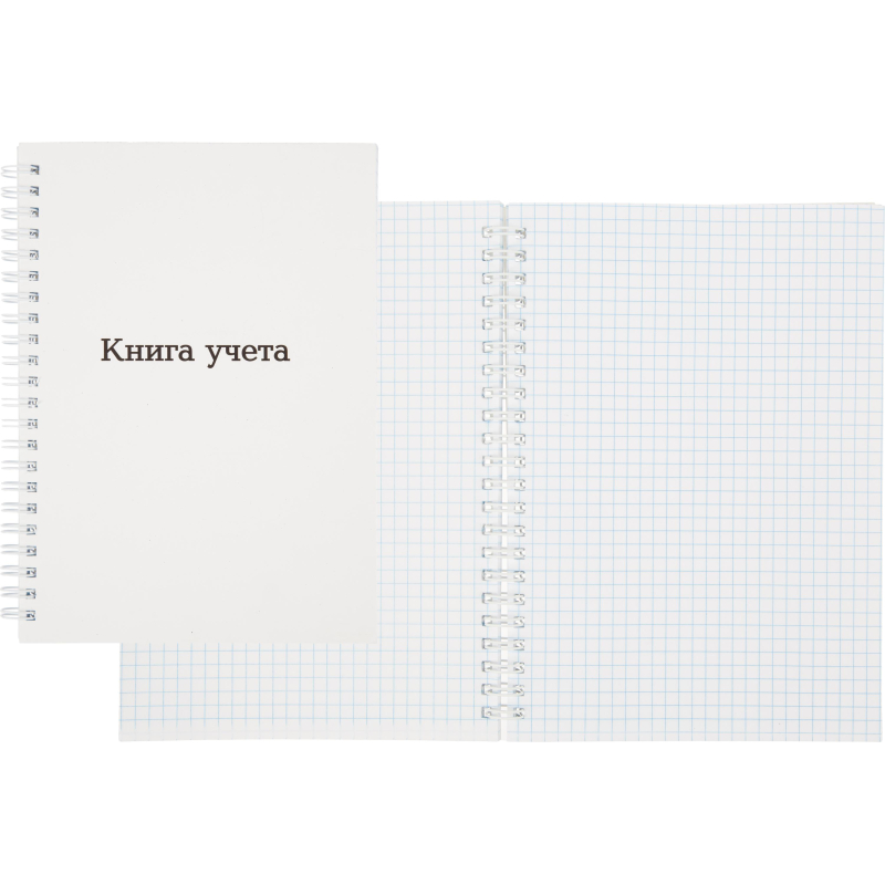 Книга учета Attache А5 96л клетка офсет картон мел. спираль - фото 1