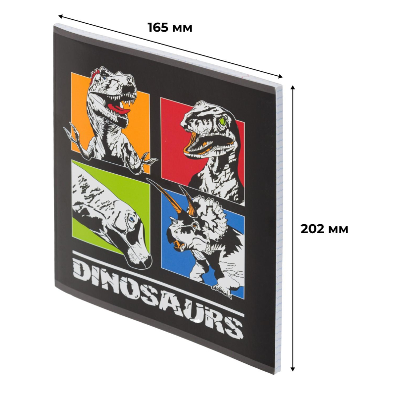 Тетрадь общая А5 48л №1School Dinosaurs,клет,скреп, ВД-лак - фото 2