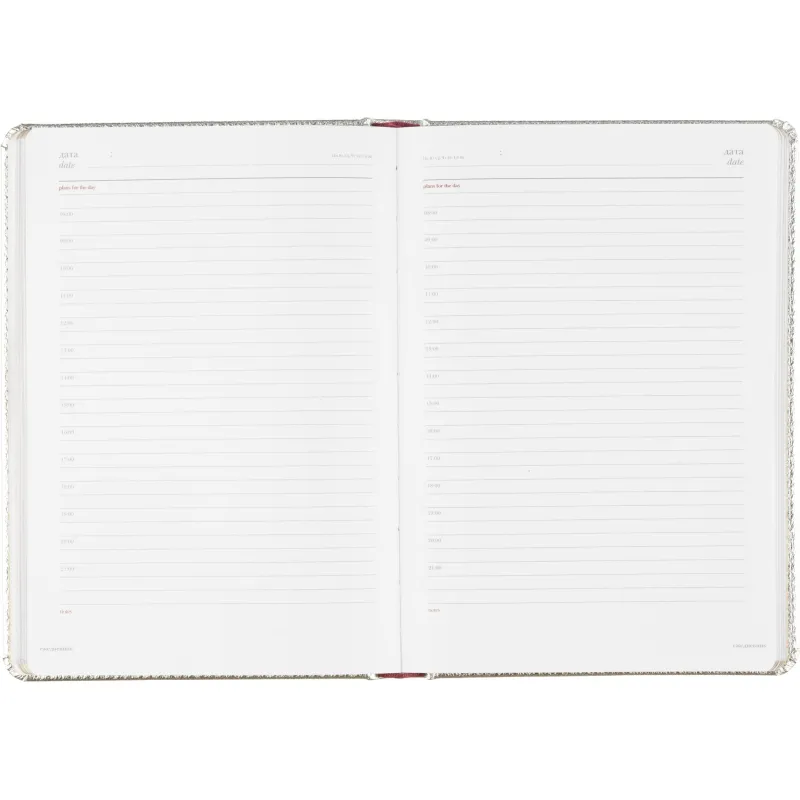 Ежедневник недатированный Sidney Nebraska, А5, 136л, серебро 3-128/10 - фото 17