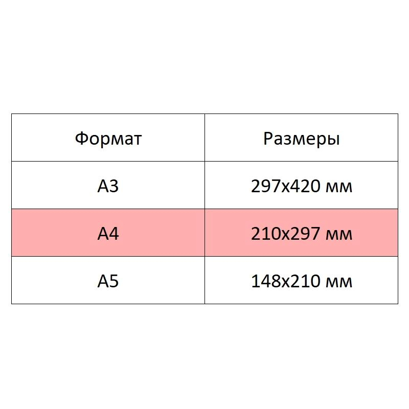 Альбом для рисования 20л А4 гребень Птицы мелов.карт 4шт/уп С0526-44 - фото 4