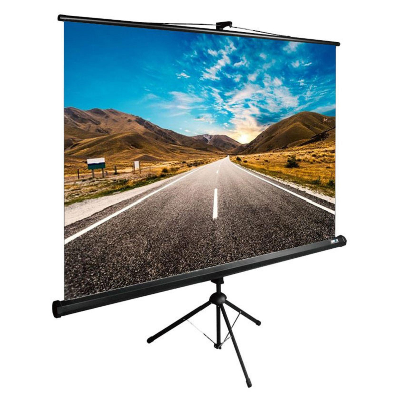 Экран Cactus TriExpert CS-PSTE-160x160-BK 1:1 напольный 160x160см - фото 1