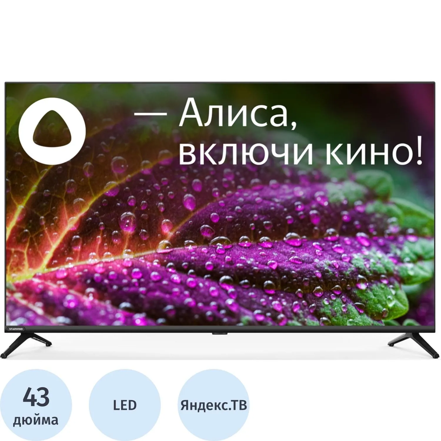 Телевизор Starwind SW-LED43UG405 Smart Яндекс.ТВ черный/4K - фото 1