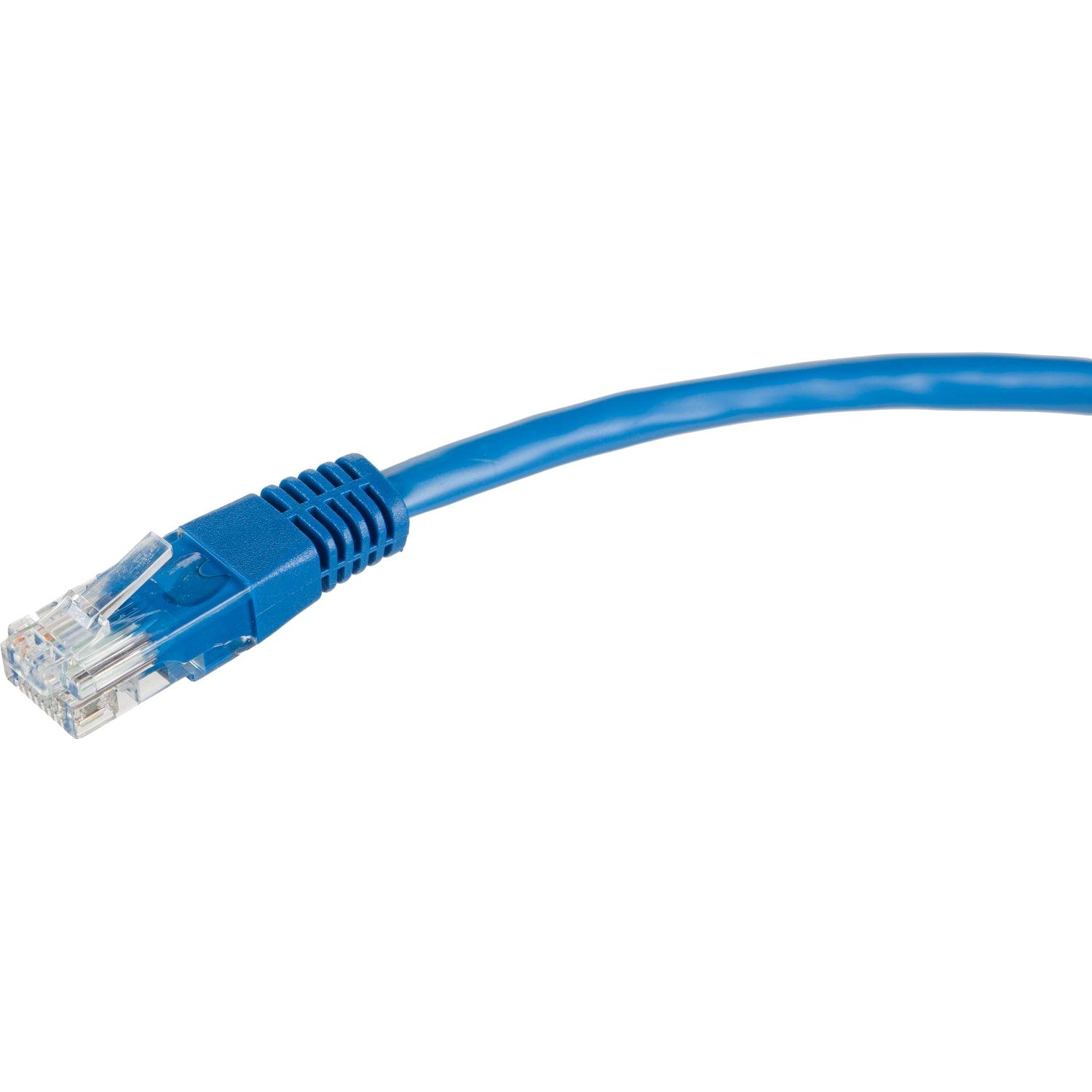 Патч-корд BigTech OPCC013 UTP CCA кат.5e/0.5м/литой/многожильн (синий) - фото 5