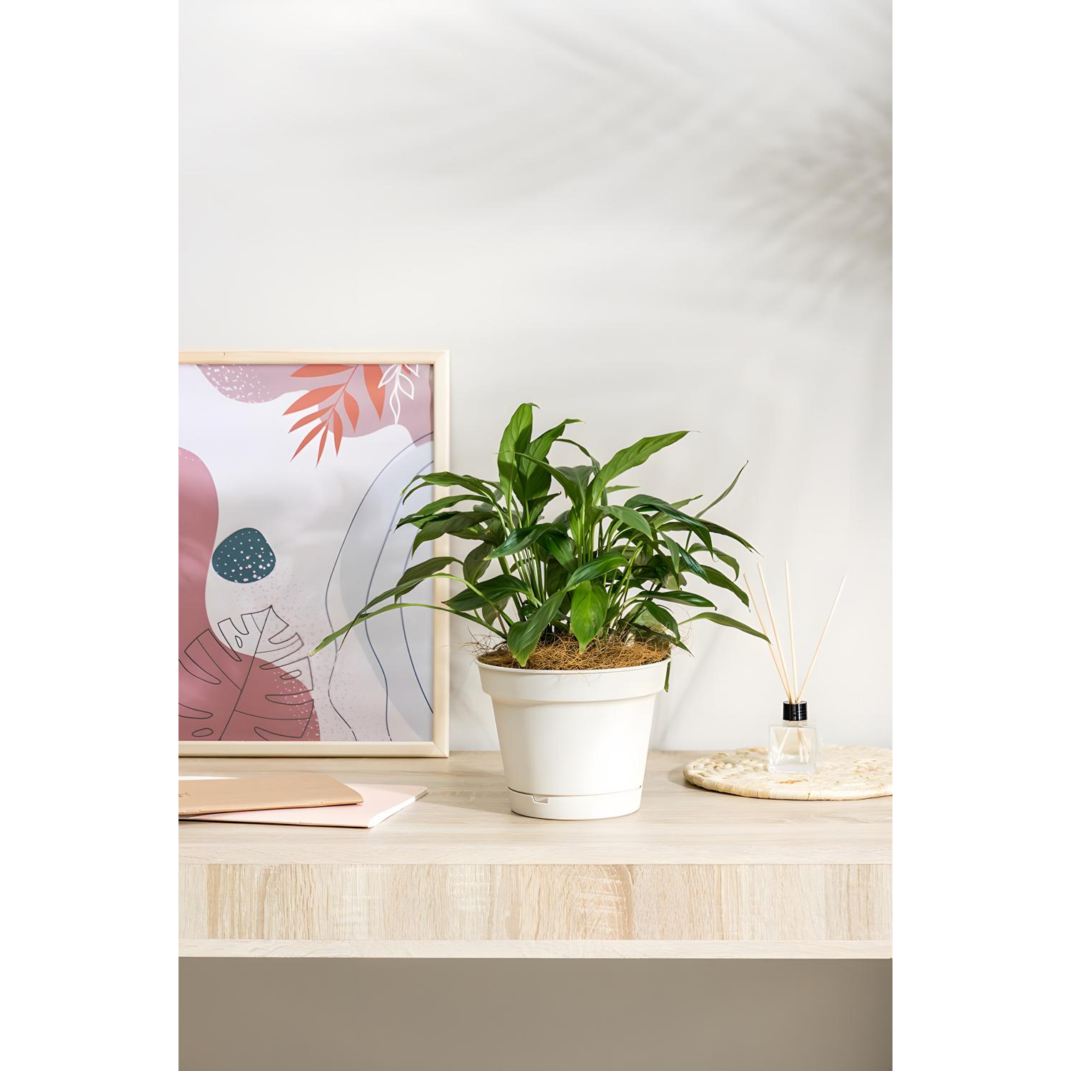 Горшок д/цветов Mint D185мм,2,3л с поддоном (светло-бежевый), 221612025 - фото 3