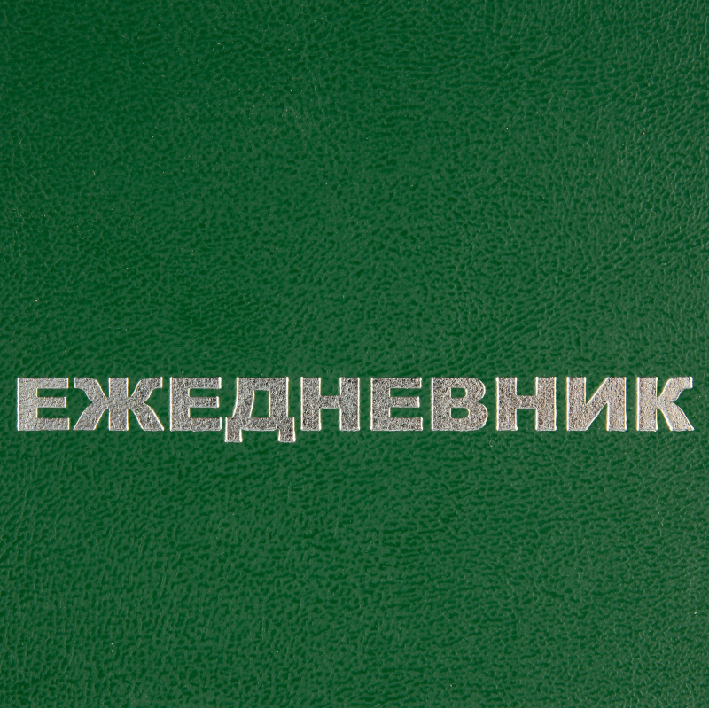 Ежедневник недатированный А5,128л.,55-65 г,бумвинил зеленый,Attache Economy - фото 4