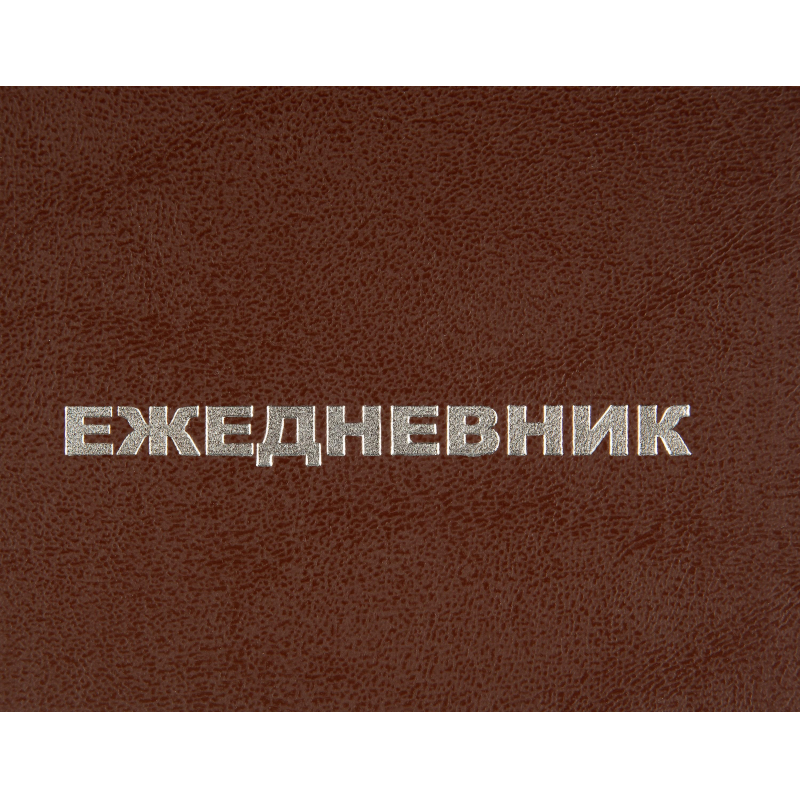 Ежедневник недатированный А5,128л.,55-65г,бумвинил коричнев,Attache Economy - фото 4