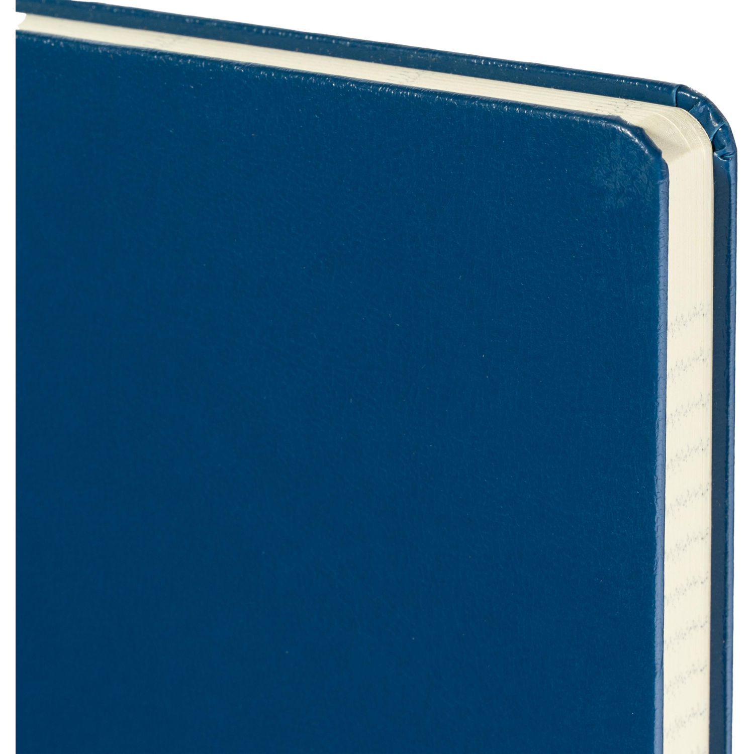 Ежедневник недатированный синий, MEGAPOLIS А5, 142х214мм,320стр.3-281/01 - фото 5