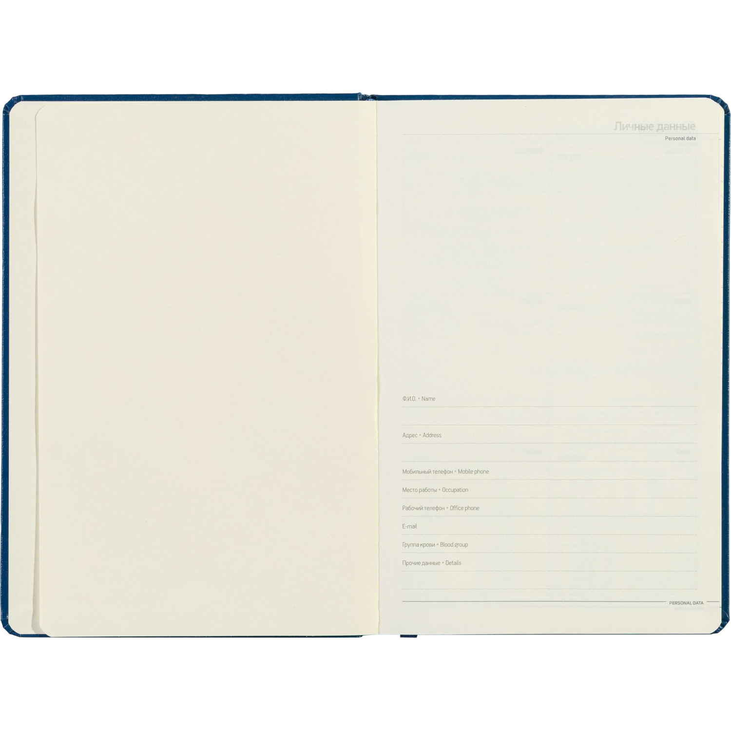 Ежедневник недатированный синий, MEGAPOLIS А5, 142х214мм,320стр.3-281/01 - фото 9