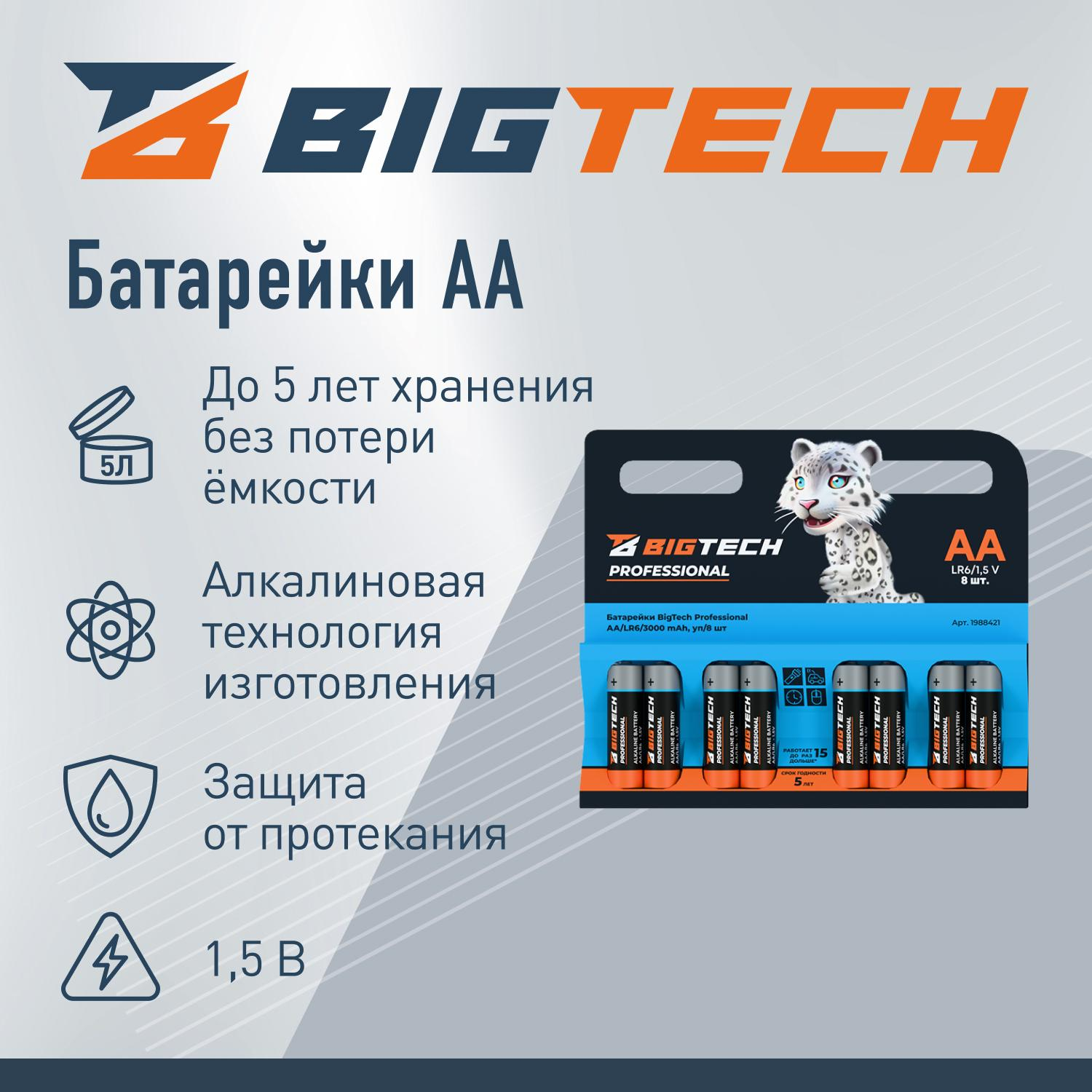 Батарейка BigTech Professional АA/LR6 бл/8шт - фото 2