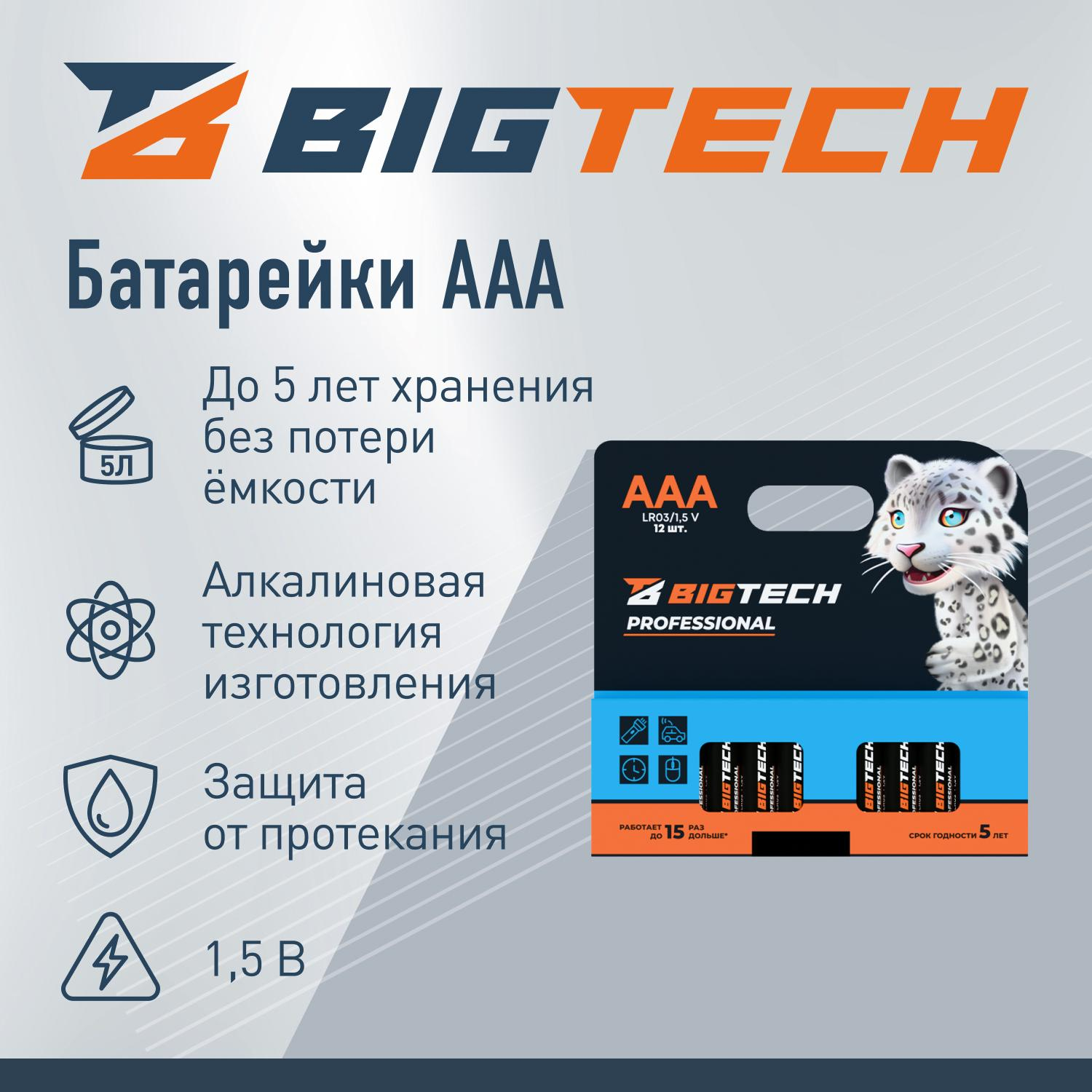 Батарейка BigTech Professional ААA/LR03 уп/12шт - фото 2