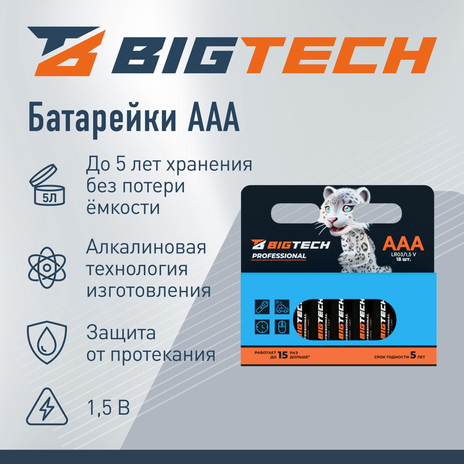 Батарейка BigTech Professional ААA/LR03 уп/18шт - фото 2