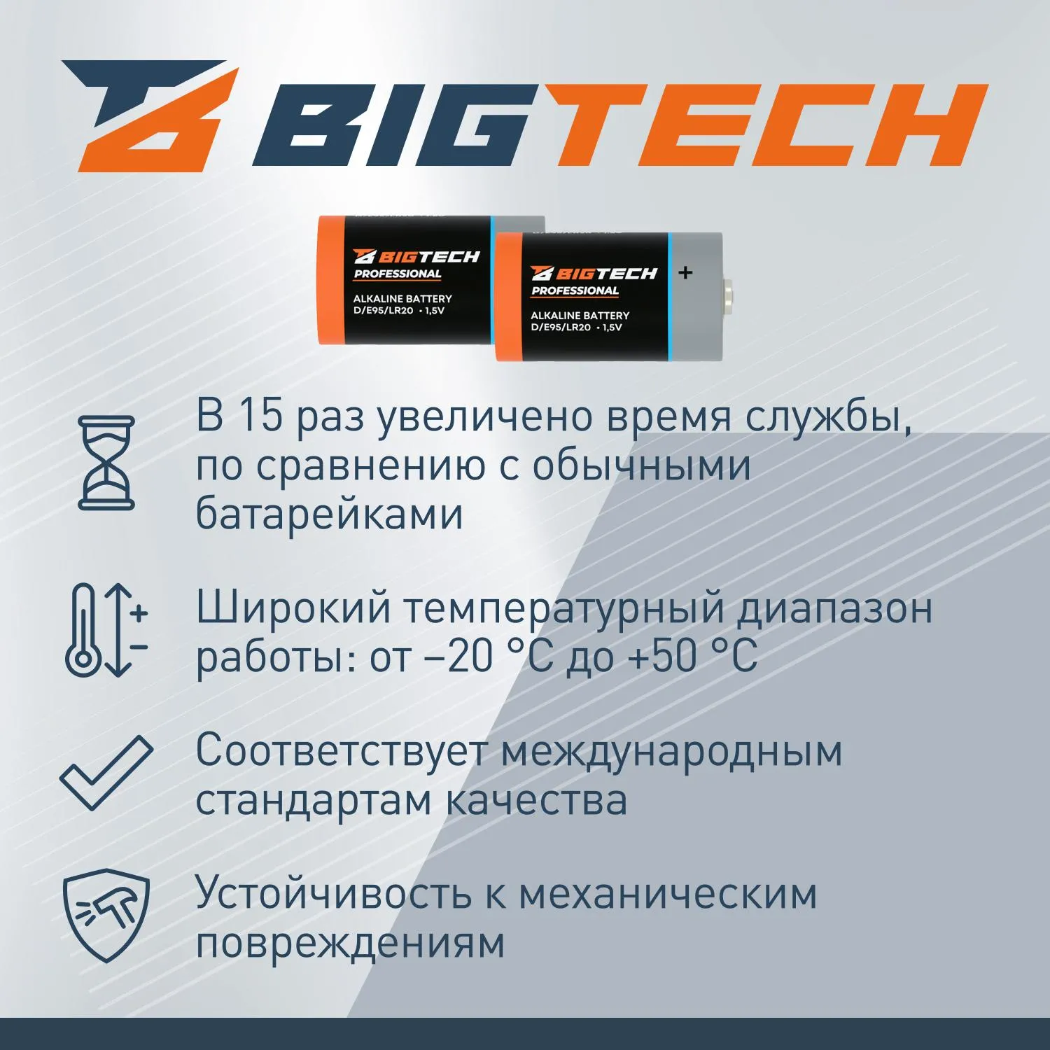 Батарейка BigTech Professional D/E95/LR20 бл/2шт - фото 3