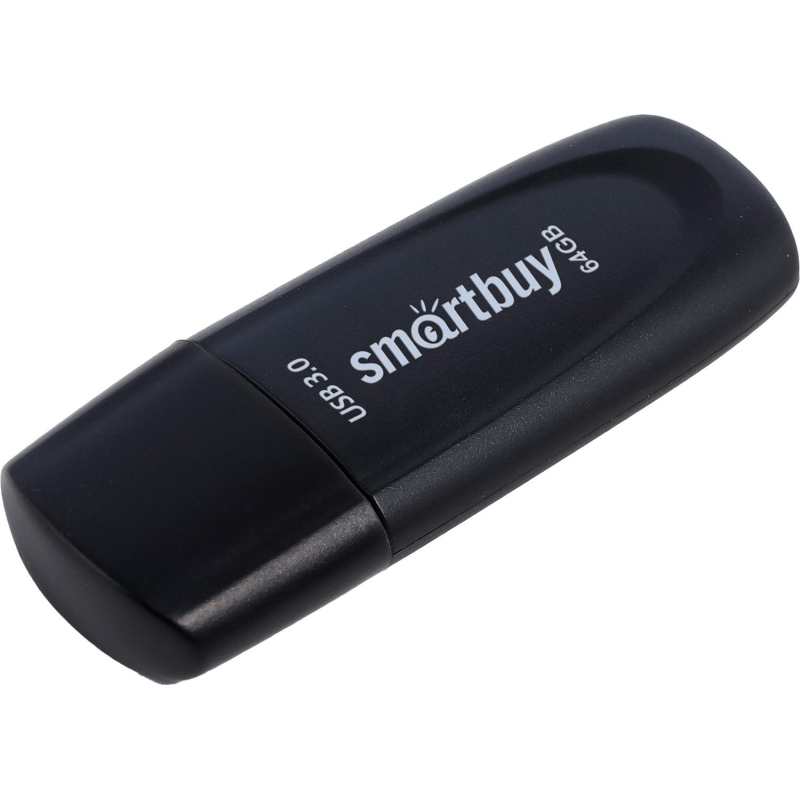 Флеш-память Smartbuy UFD 3.0/3.1 64GB Scout Black (SB064GB3SCK) - фото 1