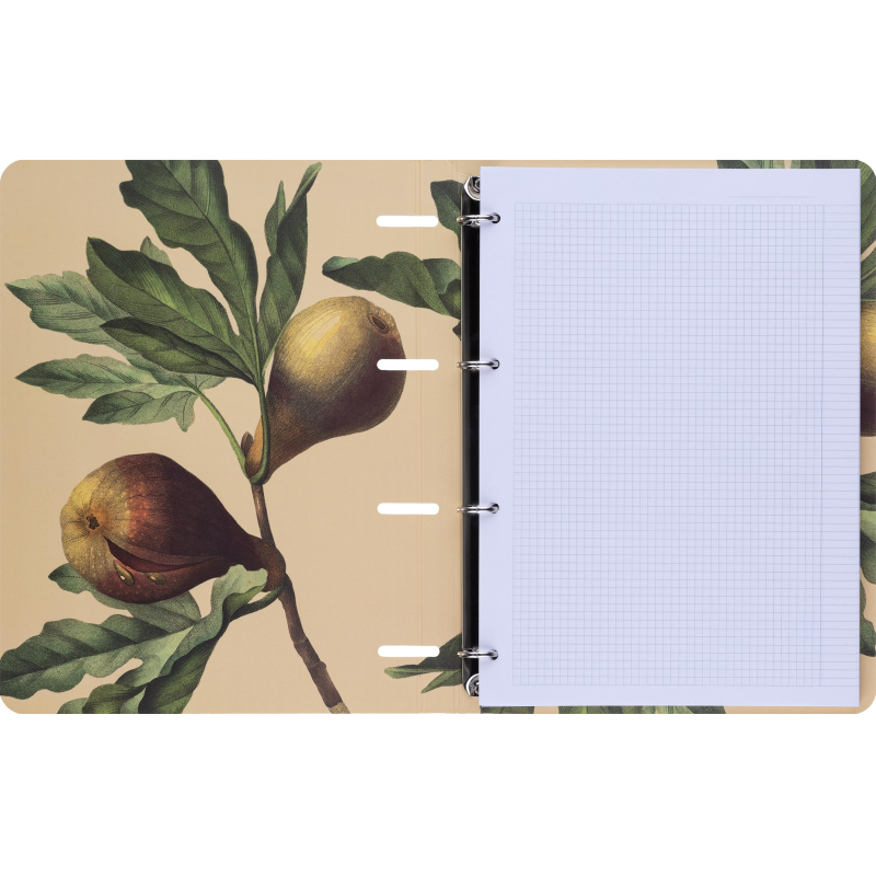 Тетрадь общая, BS, А4, 120л., клетка, кольца, . Flora, черный N4238 - фото 5