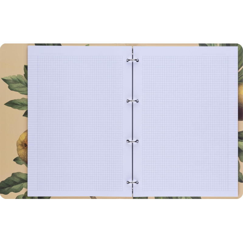 Тетрадь общая, BS, А4, 120л., клетка, кольца, . Flora, черный N4238 - фото 6