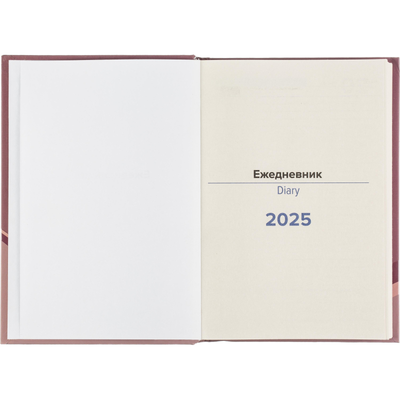 Ежедневник датированный 2025, 7БЦ, А5 Выбор есть Aspiration,борд - фото 7