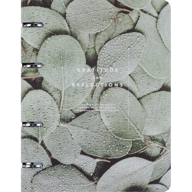 Тетрадь общая, BS, А5, 120л., клетка, кольца. Botanica, эвкалипт N4234 - фото 1
