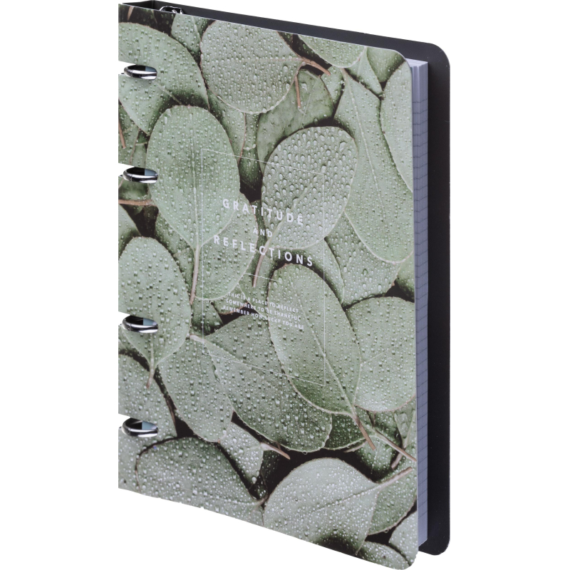 Тетрадь общая, BS, А5, 120л., клетка, кольца. Botanica, эвкалипт N4234 - фото 2