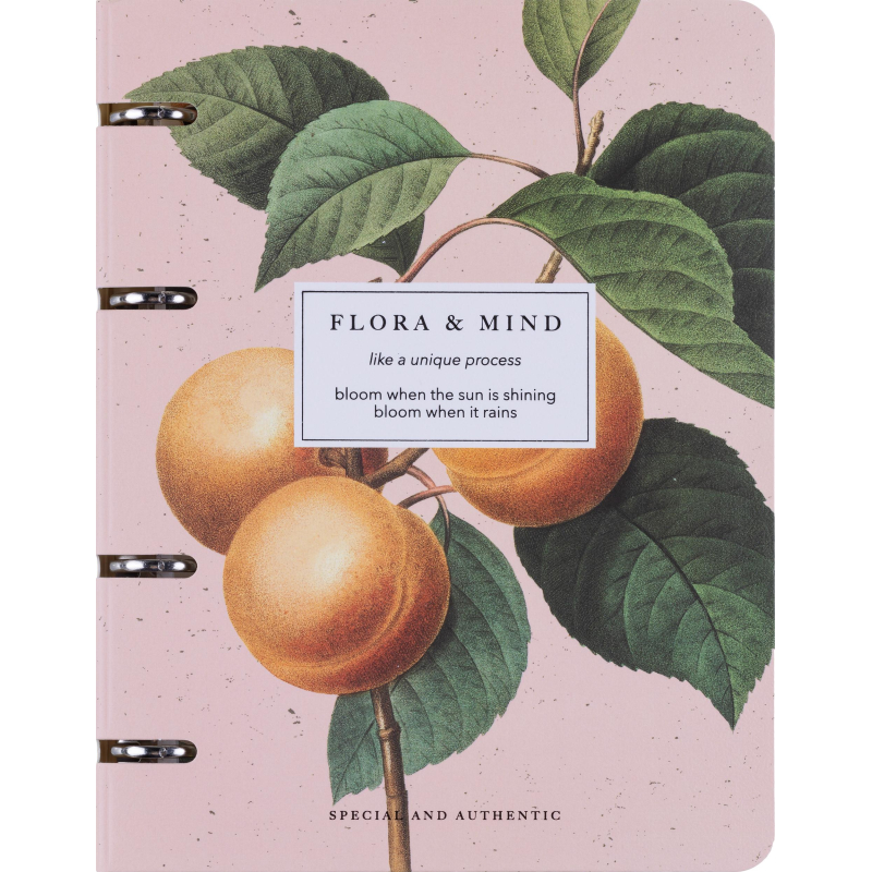 Тетрадь общая, BS, А5, 120л., клетка, кольца, Flora, персики N4236 - фото 1