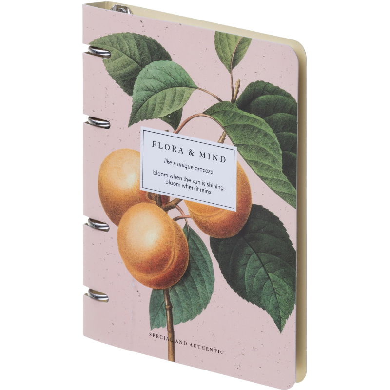 Тетрадь общая, BS, А5, 120л., клетка, кольца, Flora, персики N4236 - фото 2
