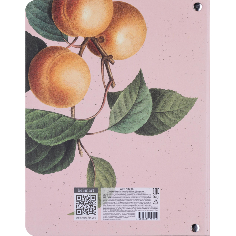 Тетрадь общая, BS, А5, 120л., клетка, кольца, Flora, персики N4236 - фото 8