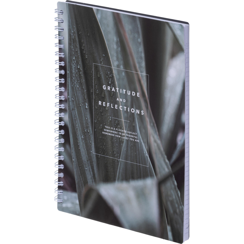 Тетрадь общая, BS, А5, 80л., клетка, спираль. Botanica, агава N4185 - фото 2