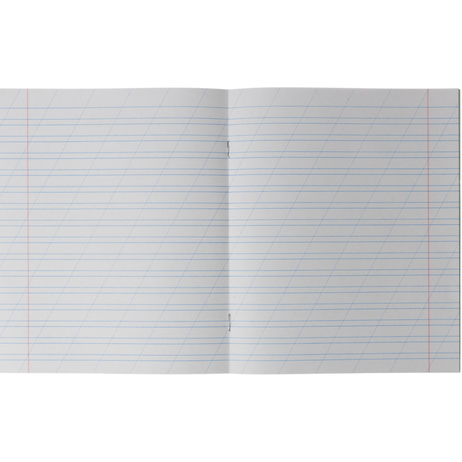 Тетрадь школьная А5 12л ГОЗНАК косая линейка 60г/м2 бел&gt;96% зеленая уп20шт - фото 6