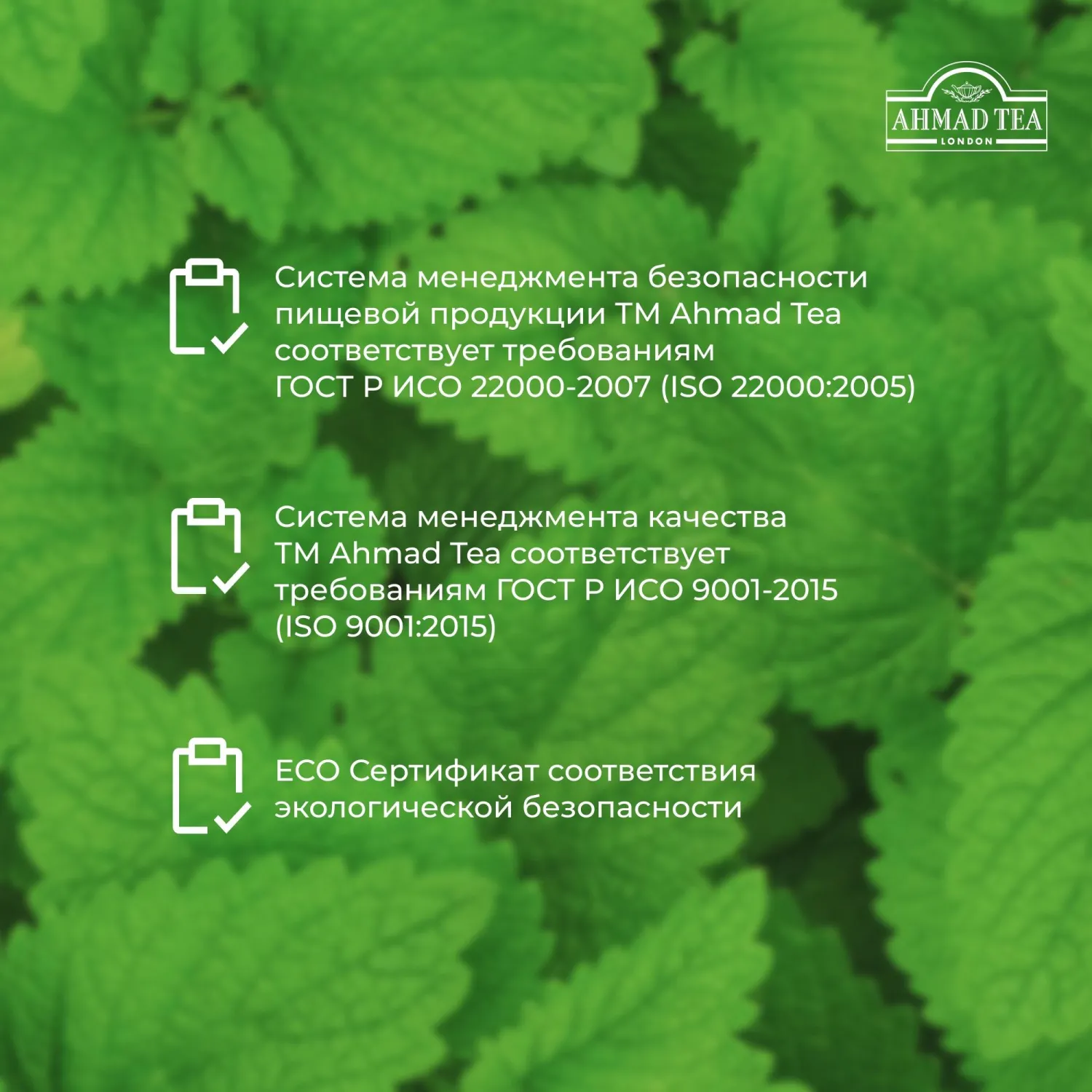 Чай Ahmad Tea Мята-Мелиса, зеленый, пакетики в конвертах, 100x1,8г/уп - фото 12