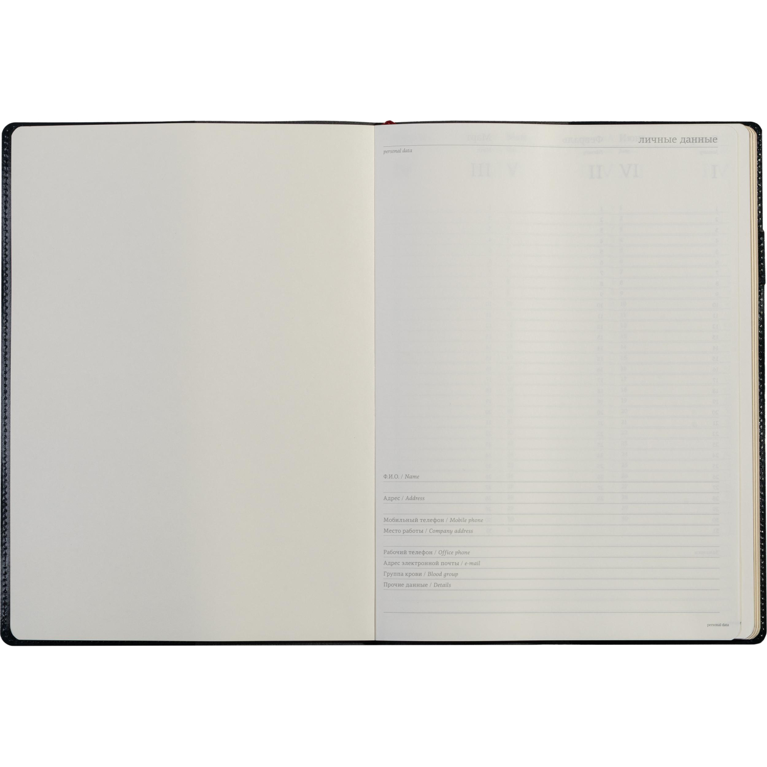 Еженедельник недатированный синий,A4,222х302мм,128 стр.,Br.V.PROFY 3-098/01 - фото 9