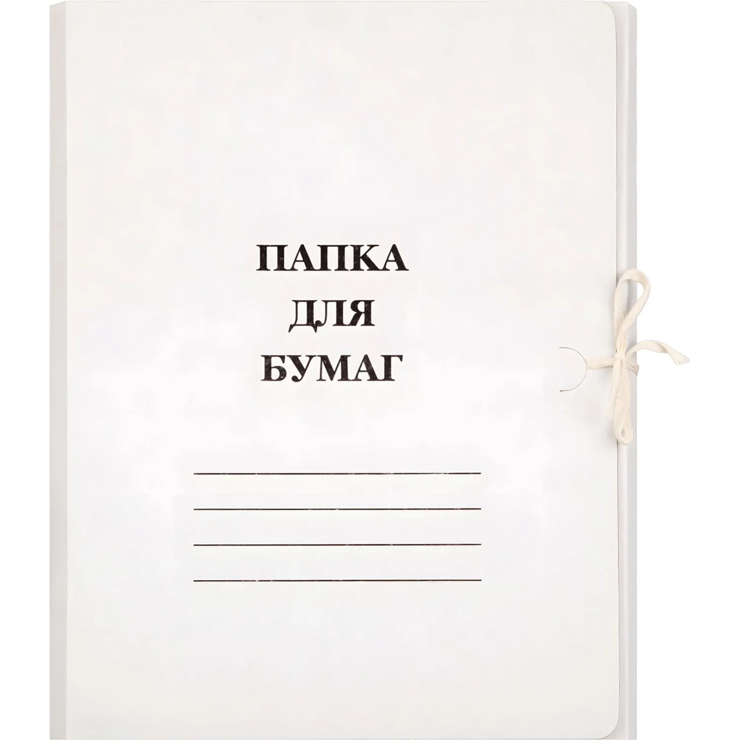 Папка с завязками Дело Элементари 320 г/м2 немелованная - фото 1