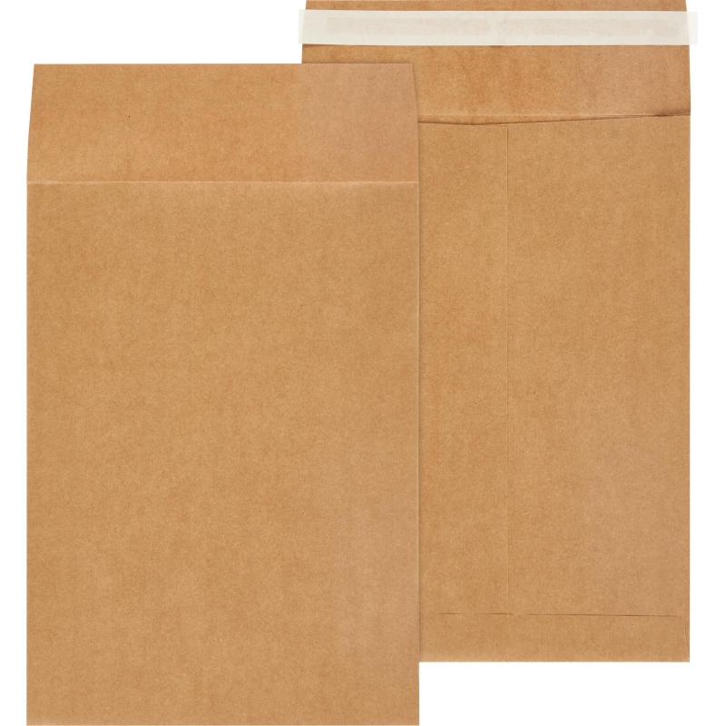 Пакет в упаковке Крафт С4стрип Largepack 229х324 мм100г200шт/уп/6286 - фото 1