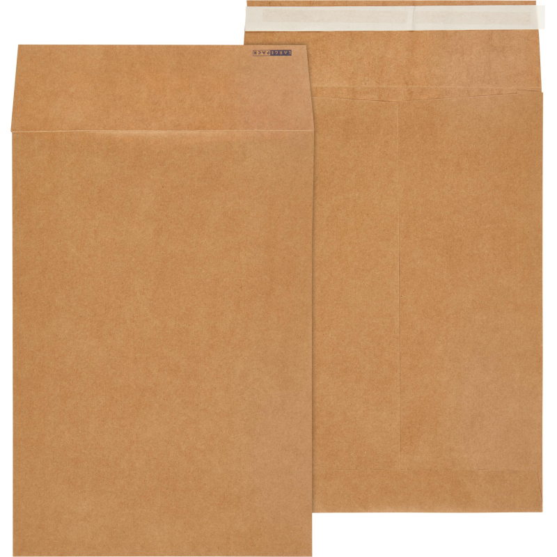 Пакет крафт B4 стрип Largepack250х353х40 120г 200шт/уп/6306 - фото 3