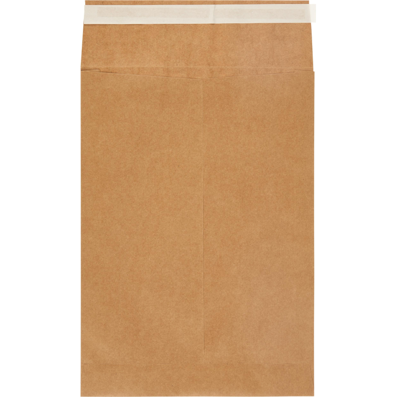Пакет крафт B4 стрип Largepack250х353х40 120г 200шт/уп/6306 - фото 5