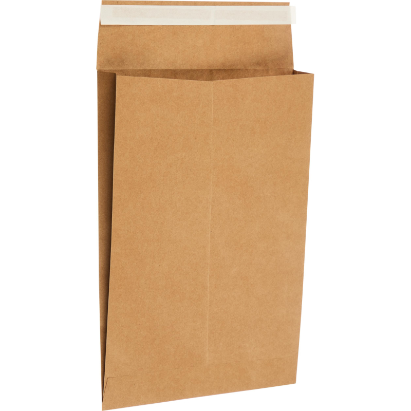 Пакет крафт B4 стрип Largepack250х353х40 120г 200шт/уп/6306 - фото 6