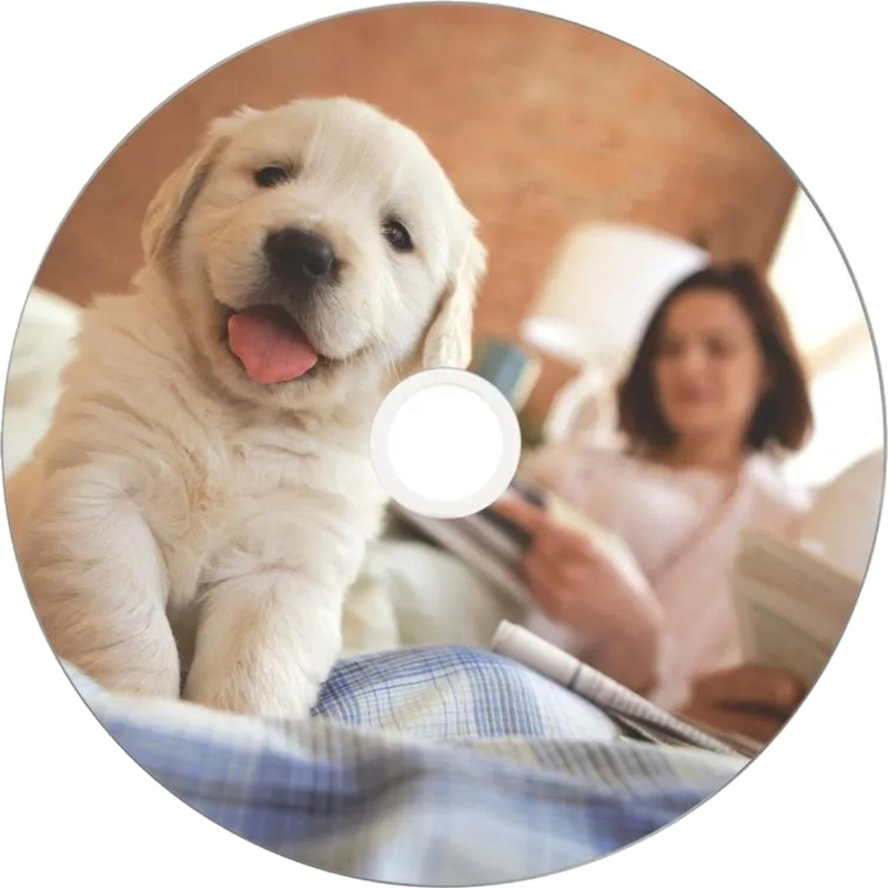 Носители информации DVD-R Verbatim 4.7Gb 16x Cake 50шт/уп Printable (43755) - фото 3