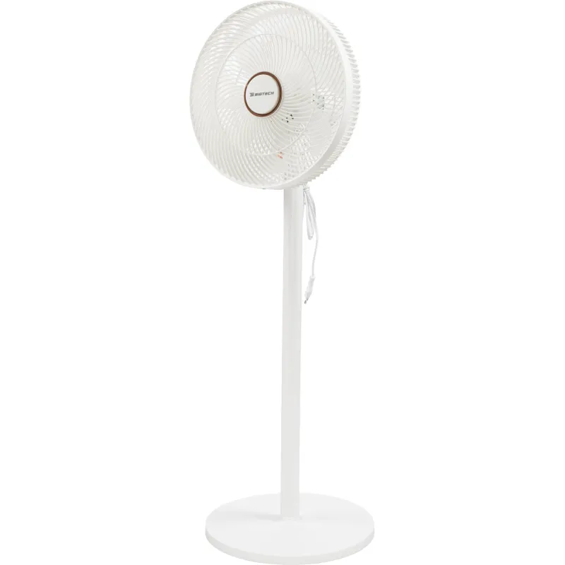 Вентилятор напольный BigTech WBF002 с пультом - фото 1