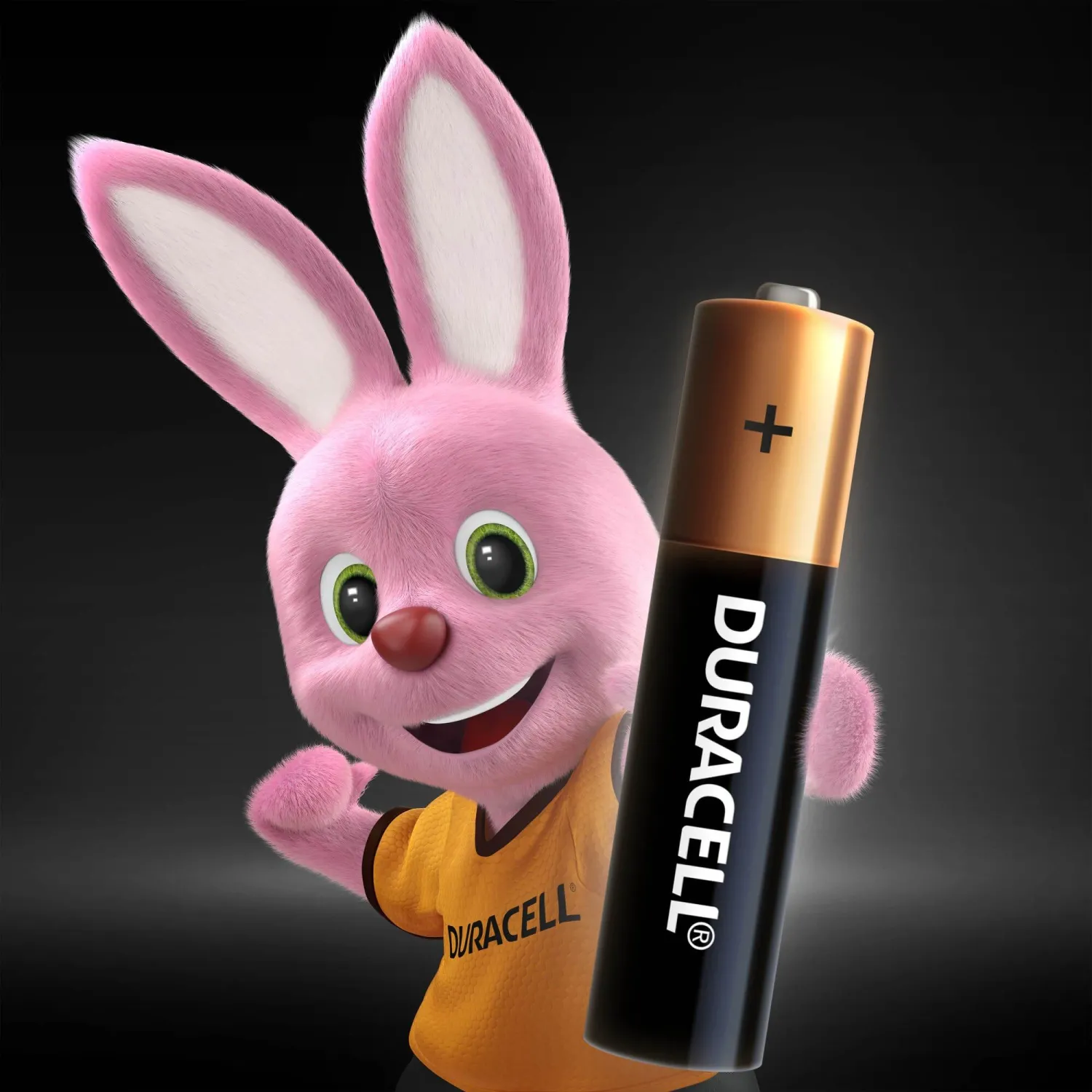Батарейки КОМПЛЕКТ 8 шт., DURACELL Basic ОРИГИНАЛ, AAA (LR03, 24А), алкалиновые, мизинчиковые, C0037387 - фото 2