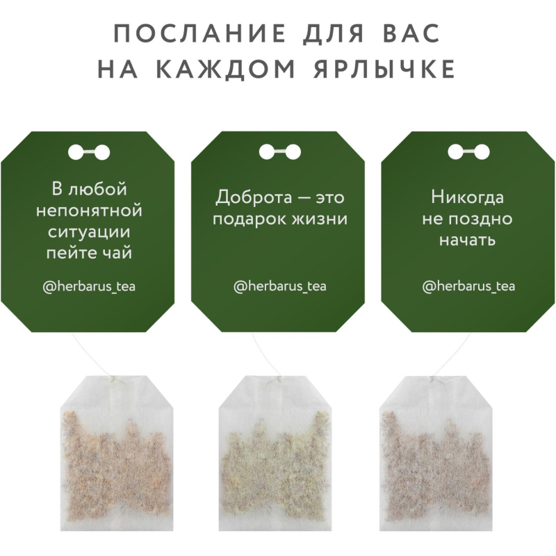 Чай Herbarus черный с добавками, Чабрец Мята, 100 пак - фото 6