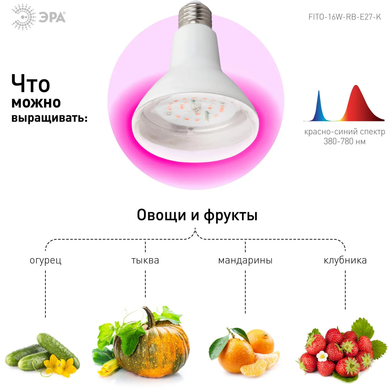 Фитолампа светодиодная ЭРА FITO-16W-RB-E27-K красно-синего спектра - фото 3