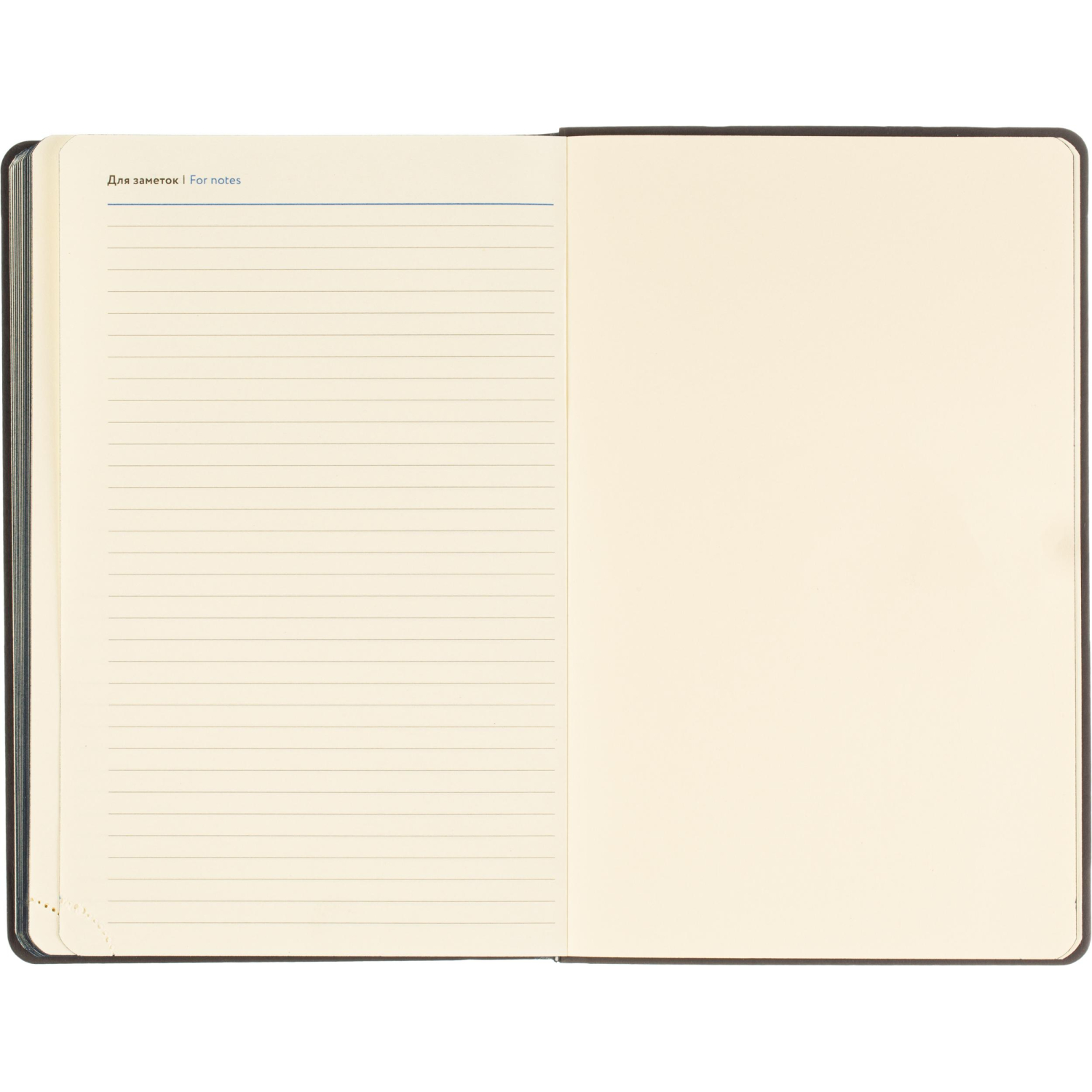 Ежедневник датированный 2026 Attache А5 168л 138x213мм иск.кожа темно-синий - фото 16