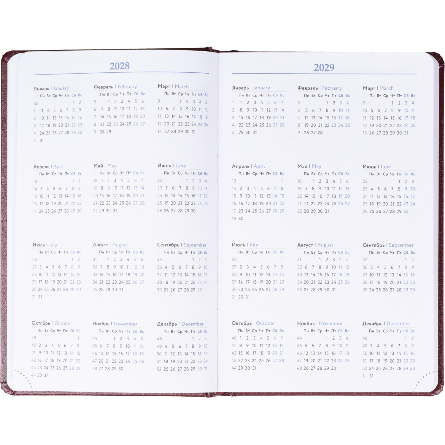 Ежедневник недатированный Attache А5, 160л, 138x213 мм балакрон, бордо - фото 9