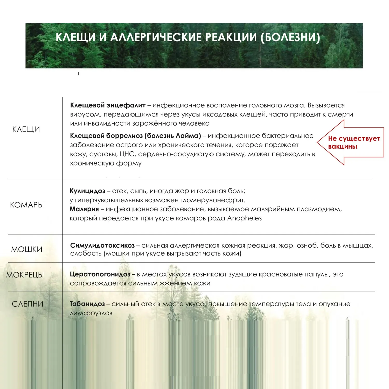 Аэрозоль репеллентный MOSQUITALL Специальная защита от клещей, 200 мл - фото 4