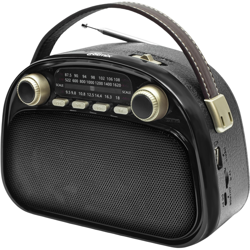 Радиоприемник Ritmix RPR-040 Black - фото 1