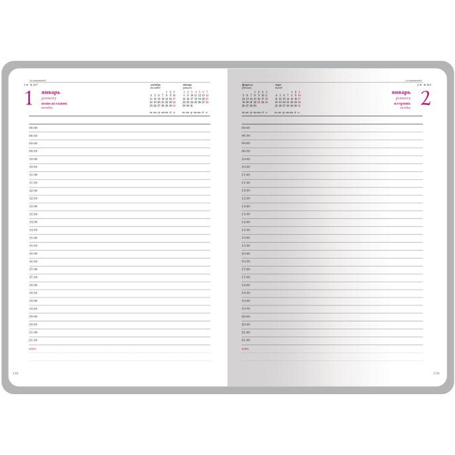 Ежедневник датированный 2026 А5+ SIDNEY NEBRASKA борд, золот обрез 3-125/01 - фото 2