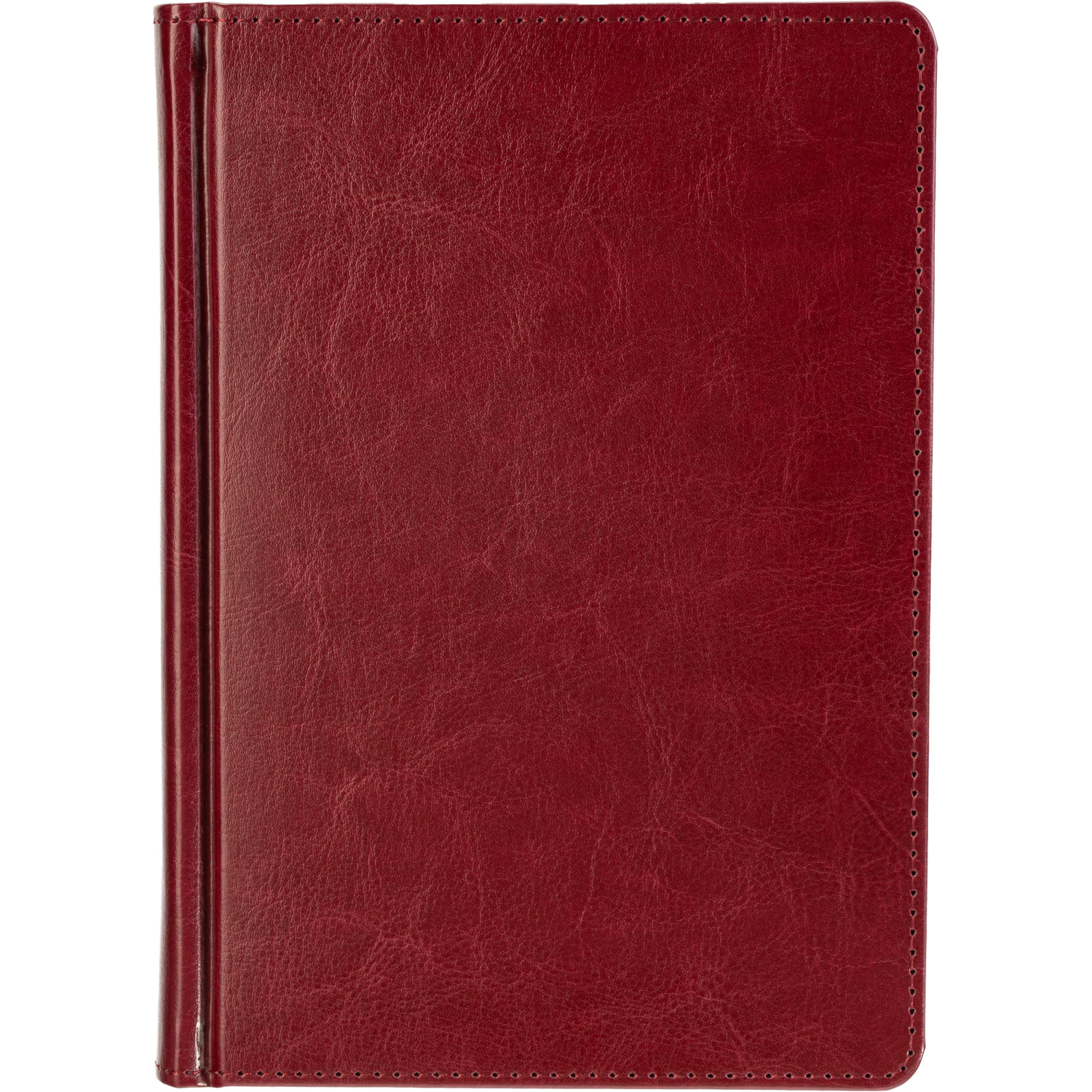 Ежедневник датированный 2026 А5+ SIDNEY NEBRASKA борд, золот обрез 3-125/01 - фото 3