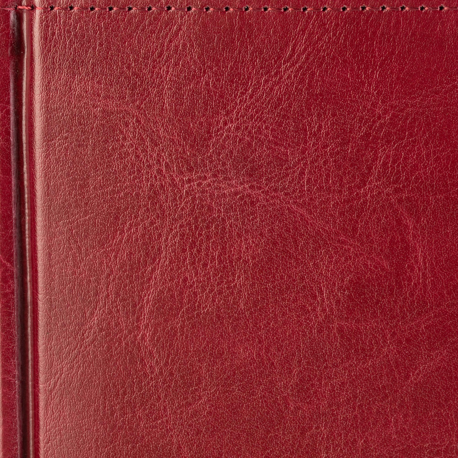 Ежедневник датированный 2026 А5+ SIDNEY NEBRASKA борд, золот обрез 3-125/01 - фото 5