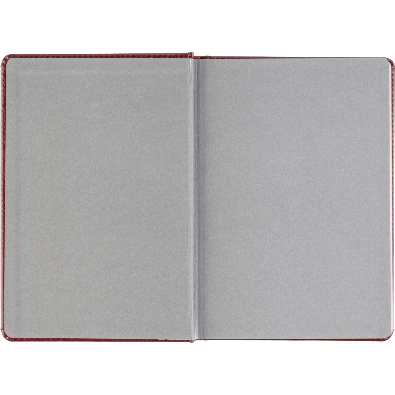 Ежедневник датированный 2026 А5+ SIDNEY NEBRASKA борд, золот обрез 3-125/01 - фото 7