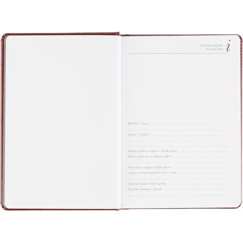 Ежедневник датированный 2026 А5+ SIDNEY NEBRASKA борд, золот обрез 3-125/01 - фото 8