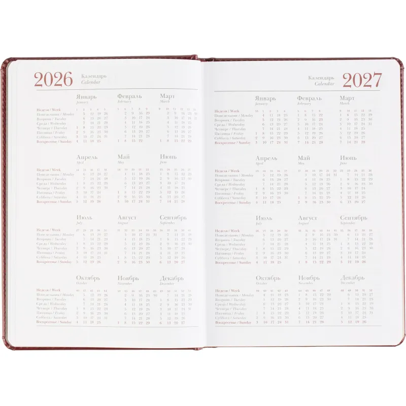 Ежедневник датированный 2026 А5+ SIDNEY NEBRASKA борд, золот обрез 3-125/01 - фото 10